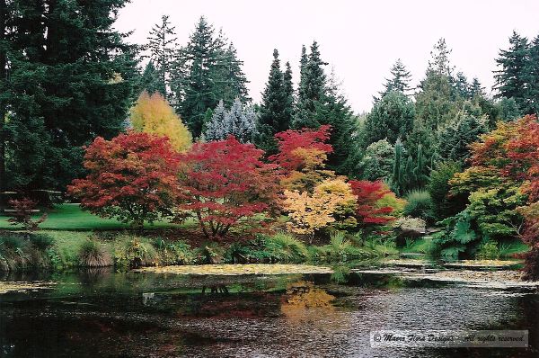 Fall Colors
