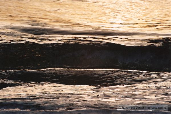 Wave