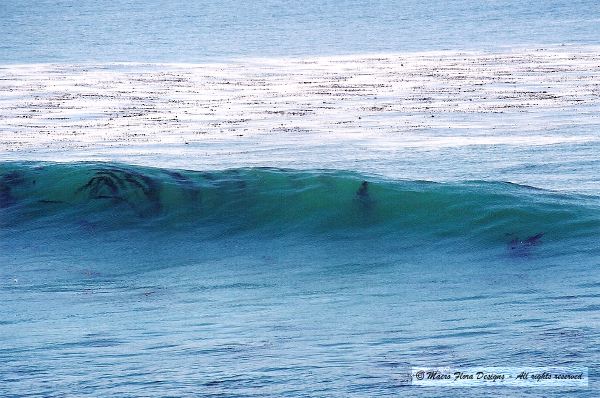 Wave