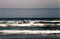 California Coast