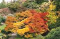 Fall Colors