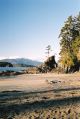 Bamfield Beach