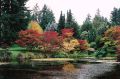 Fall Colors